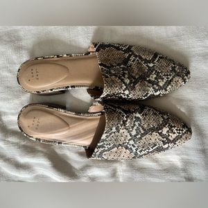 Women’s size 12 slip on Mules